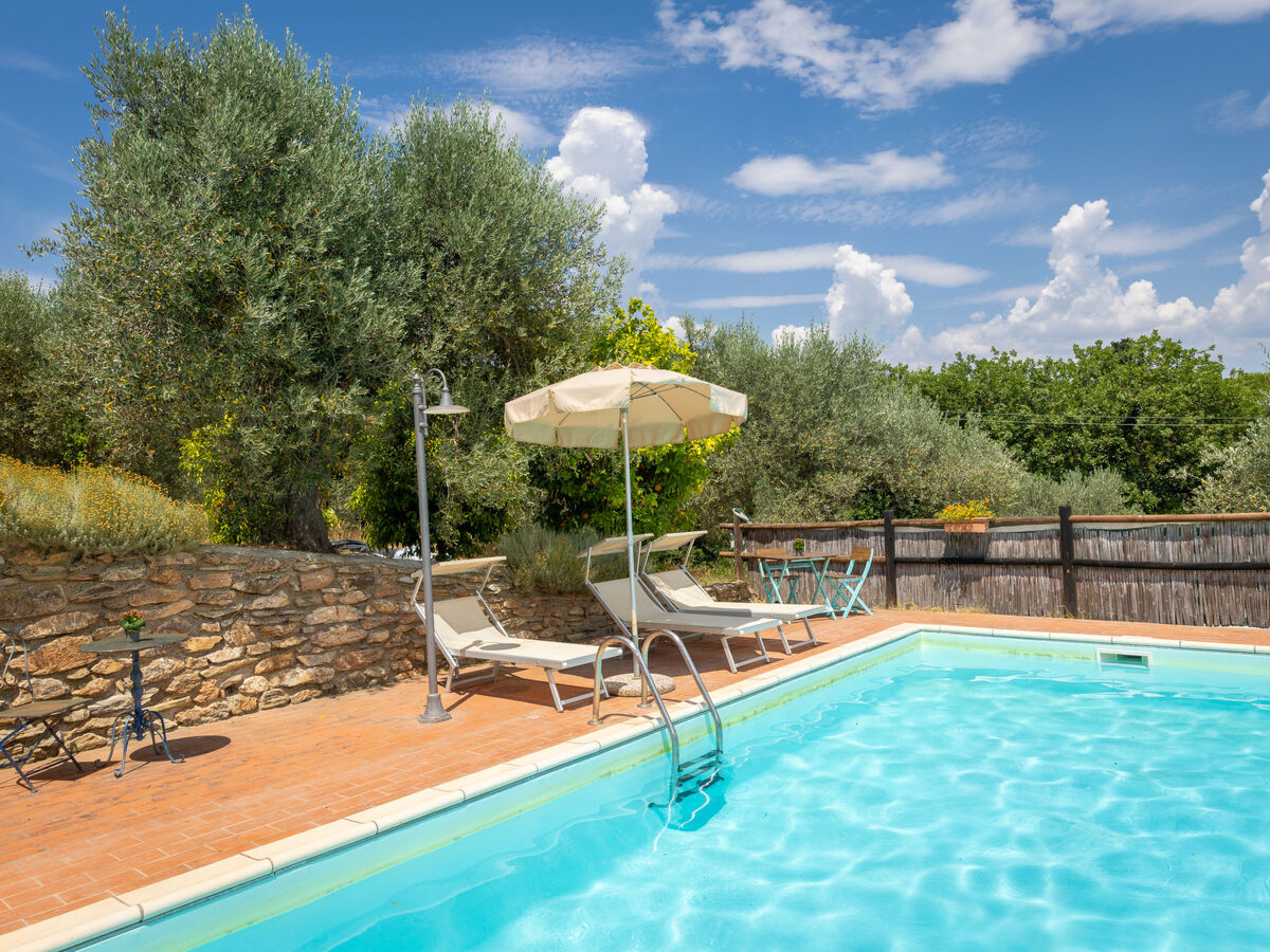 Appartement Erica à Campiglia Marittima, piscine - Photo 34