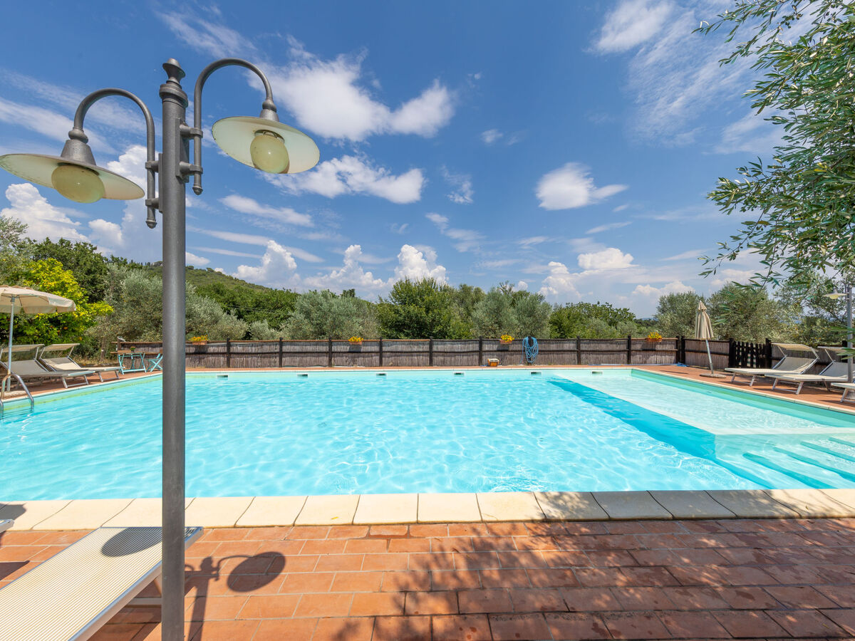 Appartement Erica à Campiglia Marittima, piscine - Photo 36
