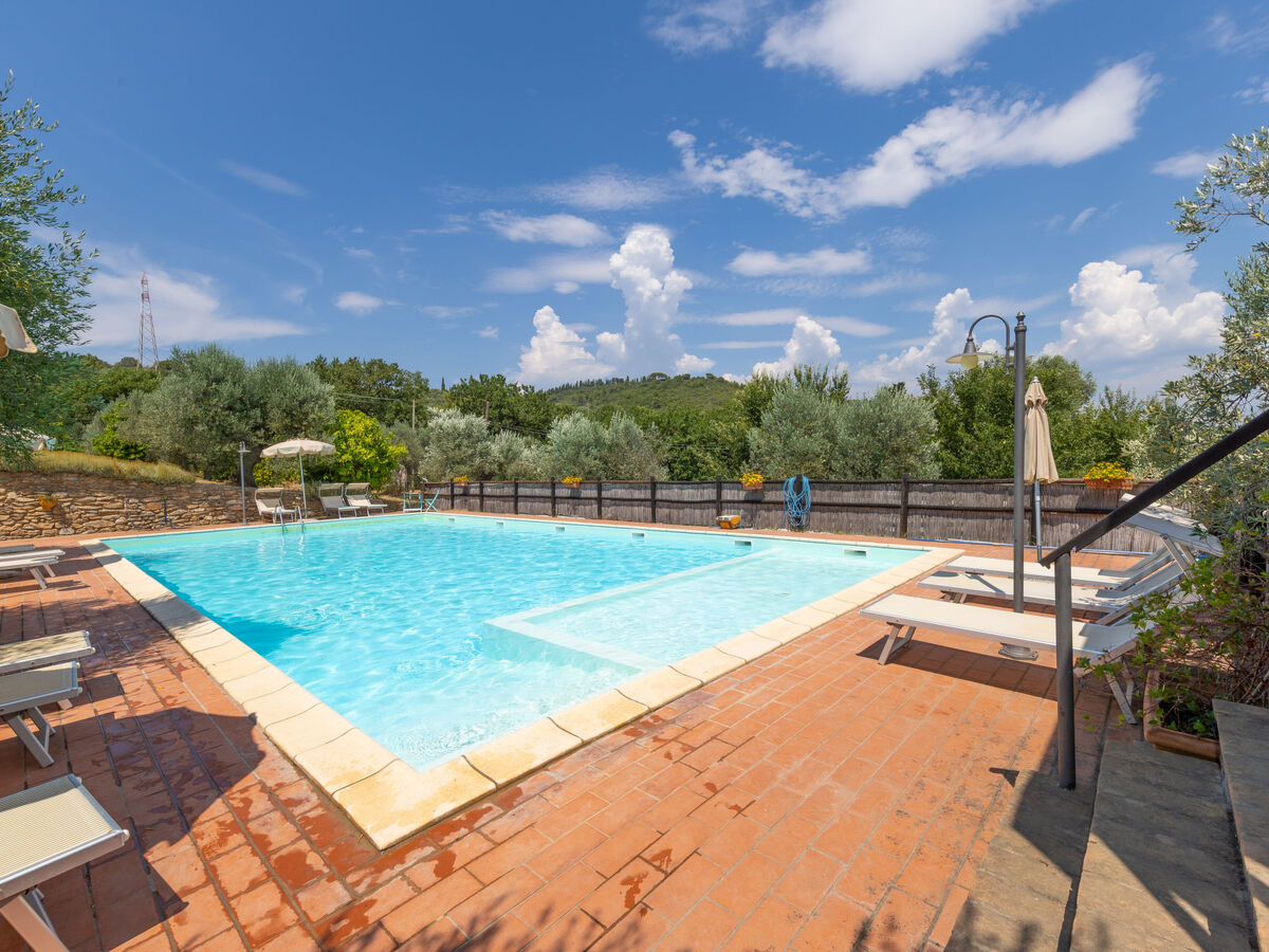 Appartement Erica à Campiglia Marittima, piscine - Photo 54