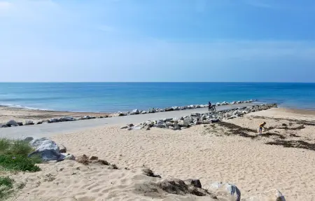 Maison 5 chambres avec piscine intérieure à Carteret : photo 37