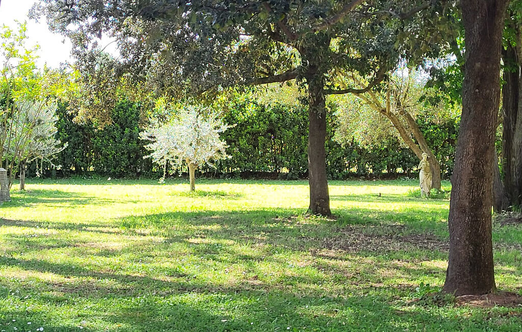 Villa Magnolia, Maison 6 personnes à Grosseto - Photo 12