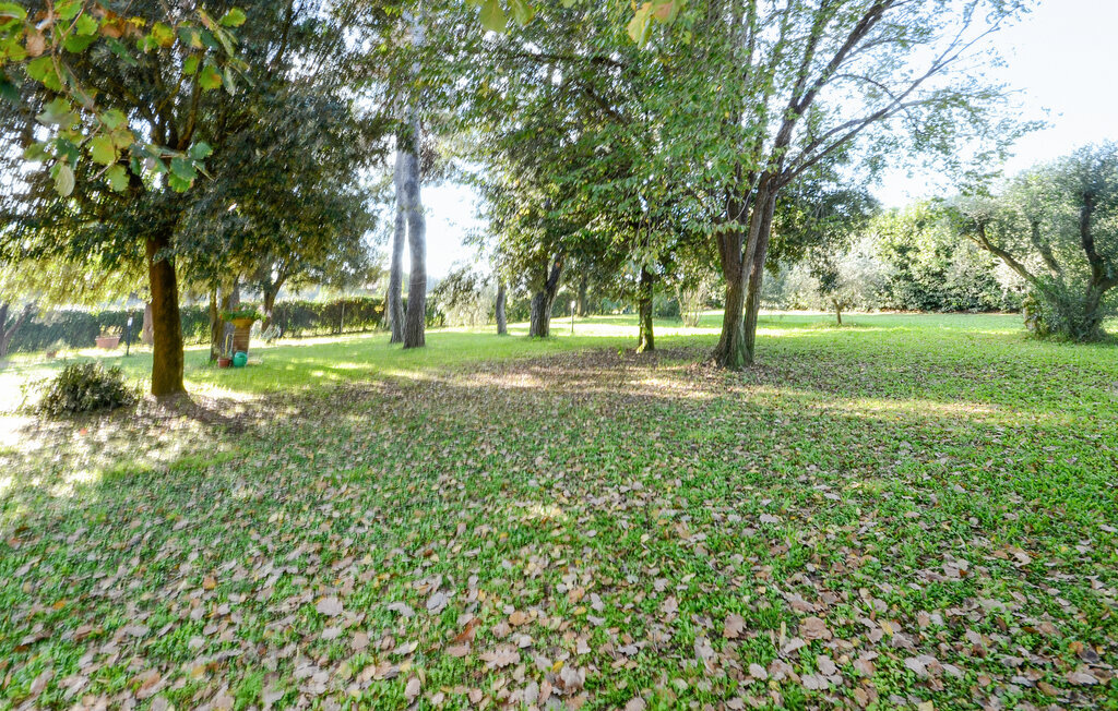 Villa Magnolia, Maison 6 personnes à Grosseto - Photo 13