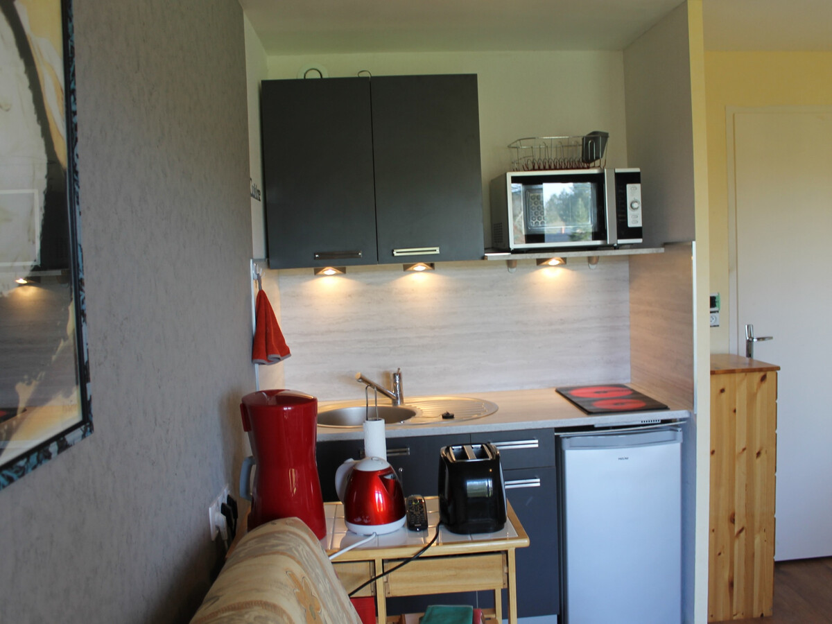 Appartement 1 chambre aux Thermes, animaux acceptés - Photo 9