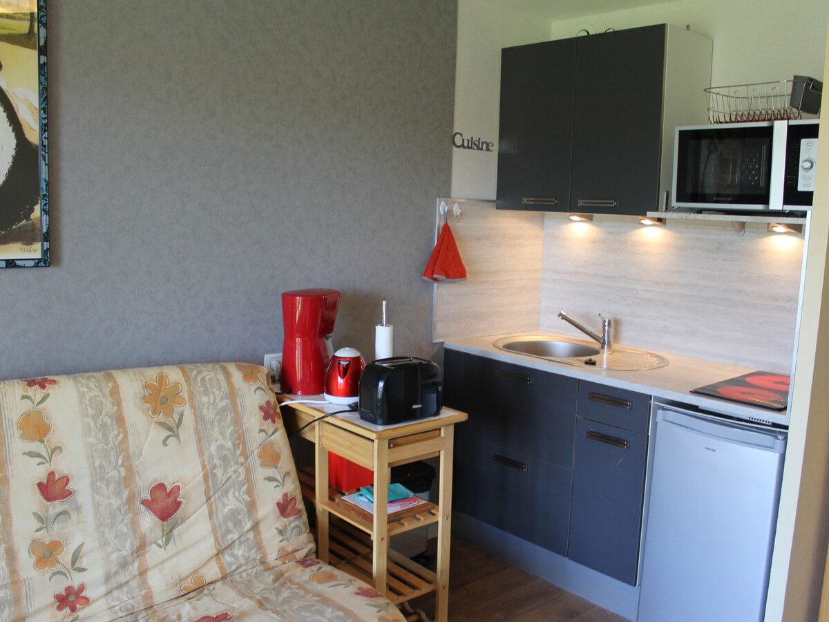 Appartement 1 chambre aux Thermes, animaux acceptés - Photo 13
