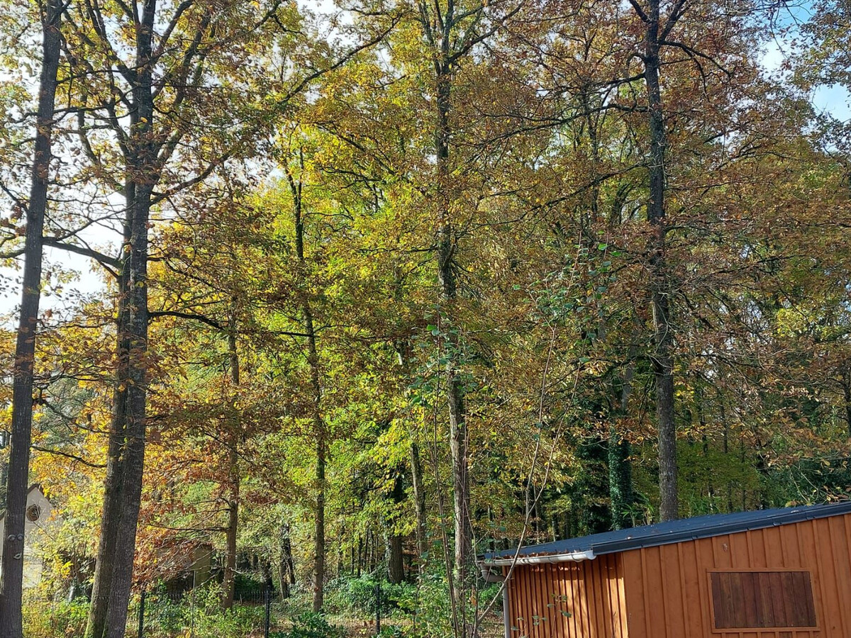 Gîte L'Atelier des Rêves à Bazoches-sur-le-Betz - Photo 11
