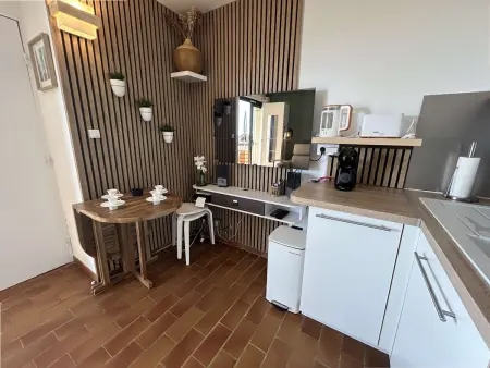 Appartement rénové vue mer à Six-Fours-les-Plages : photo 3