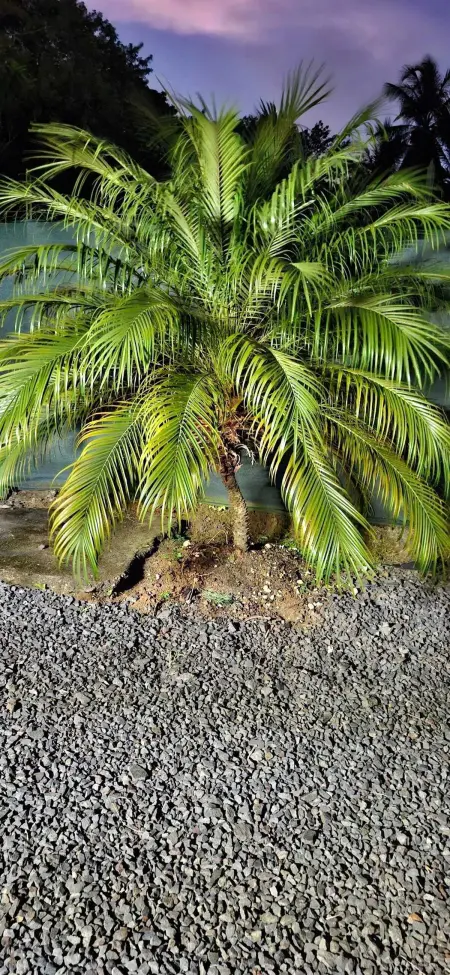 Maison confortable avec piscine à Goyave, Maison 4 personnes à Goyave - Photo 25