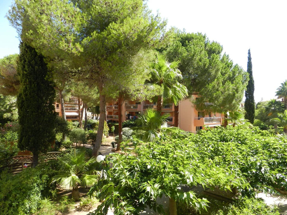 Studio 4 pers Bormes-les-Mimosas, terrasse sud plage 200m - Photo 7