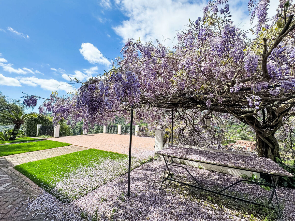 La Vigna, villa 8 pers. avec piscine à Pontedassio - Photo 43