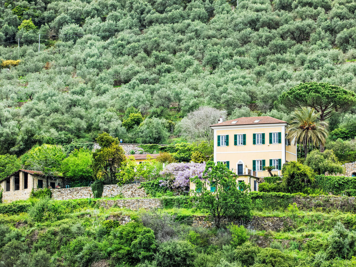 La Vigna, villa 8 pers. avec piscine à Pontedassio - Photo 54