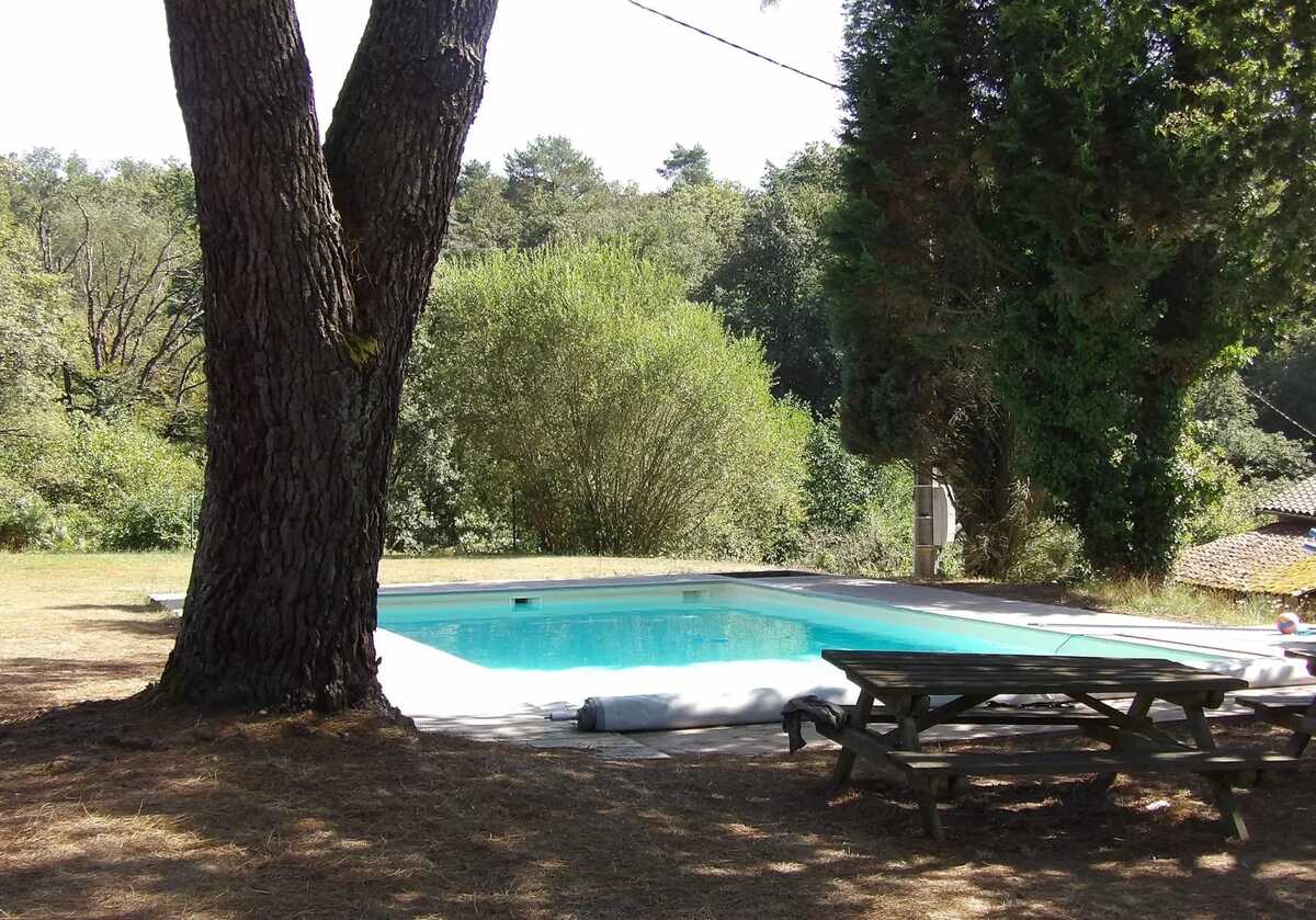 Maison 250 m² pour 30 personnes, piscine et forêt à Razès - Photo 4