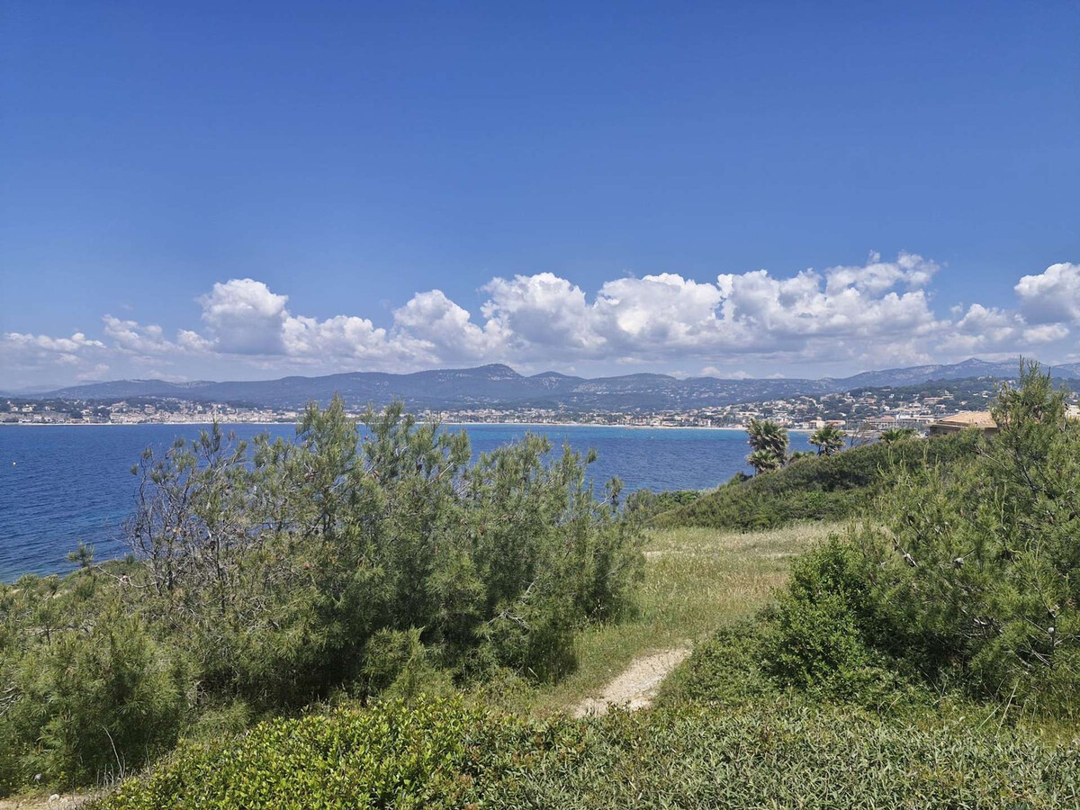 Appartement 2 ch, terrasse mer, 250m plage - Photo 15