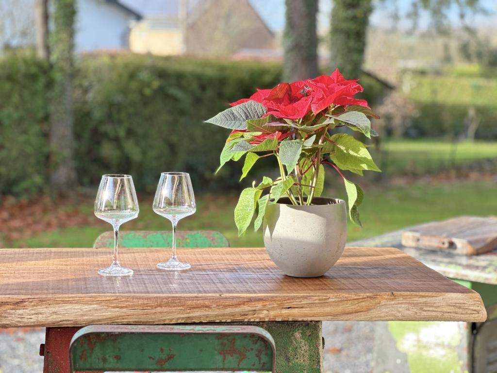 Chez Brigitte - Maison romantique avec bain thermal à Durbuy - Photo 7