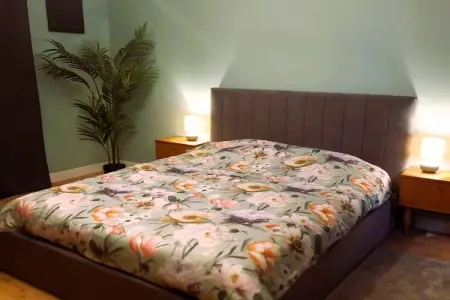 Skjoldenhof, maison 10 personnes avec accès forêt : photo 5