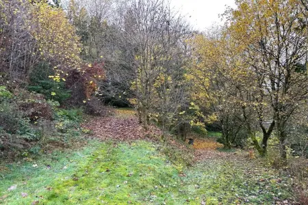 Skjoldenhof, maison 10 personnes avec accès forêt : photo 10