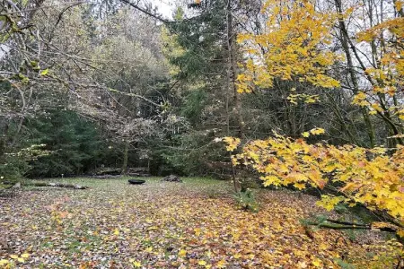 Skjoldenhof, maison 10 personnes avec accès forêt : photo 22