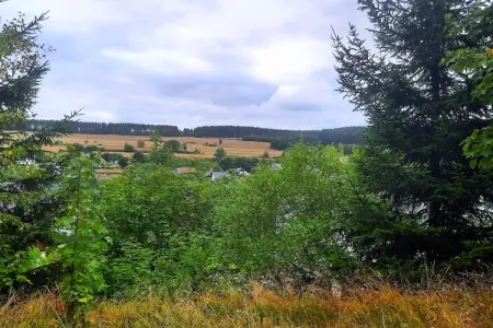 Skjoldenhof, maison 10 personnes avec accès forêt : photo 24