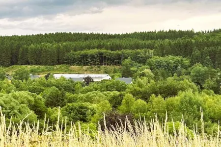 Skjoldenhof, maison 10 personnes avec accès forêt : photo 25