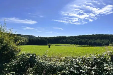 Skjoldenhof, maison 10 personnes avec accès forêt : photo 35