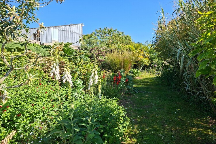 Maison en granit avec jardin exotique, accès GR34 - Photo 21
