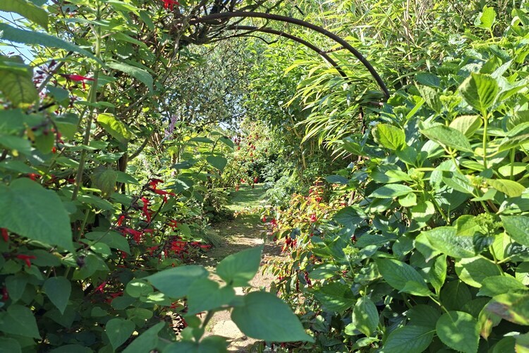 Maison en granit avec jardin exotique, accès GR34 - Photo 22