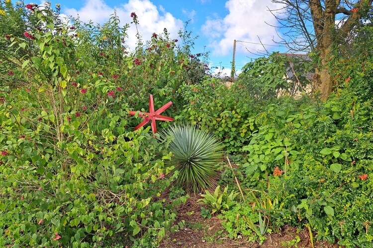 Maison en granit avec jardin exotique, accès GR34 - Photo 25