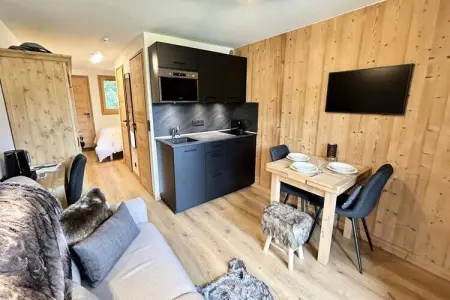Location appartement à MEGEVE, Appartement à Megève près des pistes