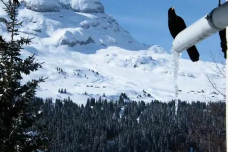 Location appartement à MAGLAND