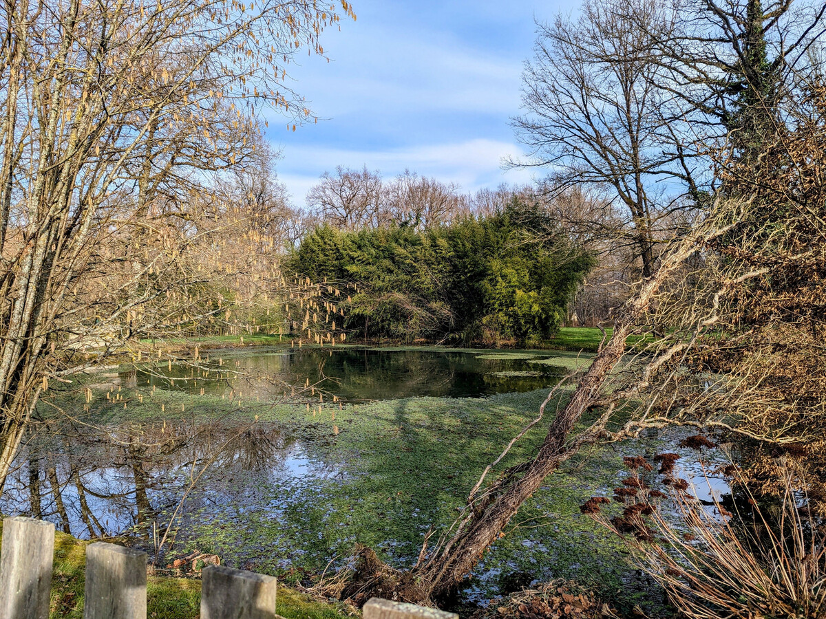 Gîte 7 personnes avec parc et étang à Mers-sur-Indre - Photo 30