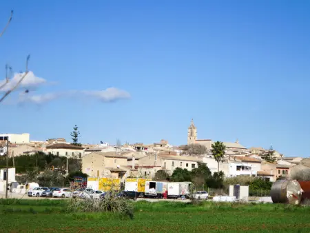 Son Mulet, Maison 4 personnes à Llubí - Photo 30