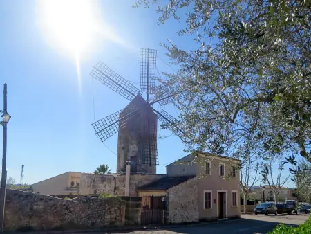 Son Mulet, Maison 4 personnes à Llubí - Photo 34