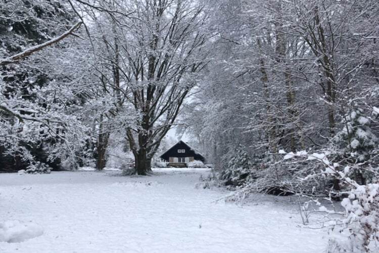 Villa Johanne Louise : 8 pers., jardin & forêt à 100 m - Photo 29