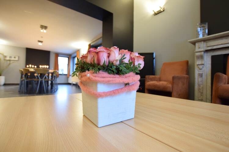 Manoir Cardon – Maison 15 pers. avec court de tennis - Photo 14