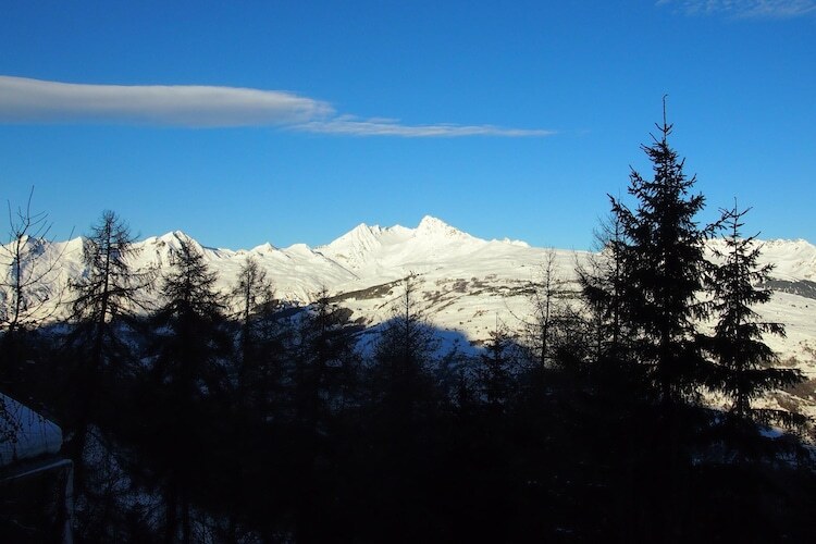 Le Sabot de Vénus, chalet Vallandry vue Mont Blanc - Photo 28