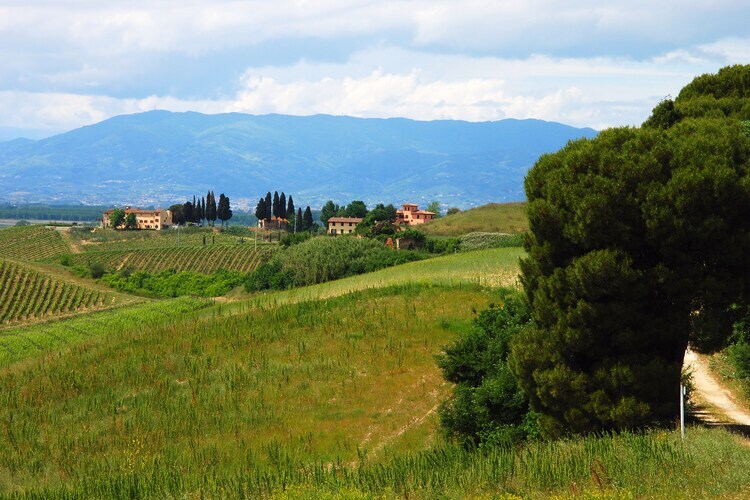 Torraccia 1 : maison toscane avec piscine à Stabbia - Photo 18
