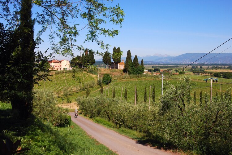 Torraccia 1 : maison toscane avec piscine à Stabbia - Photo 28
