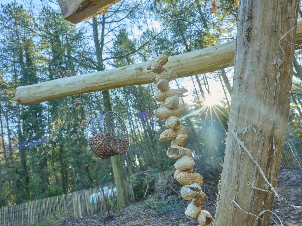 Lierelodge : maison au cœur de la réserve De Liereman, Oud-Turnhout - Photo 34
