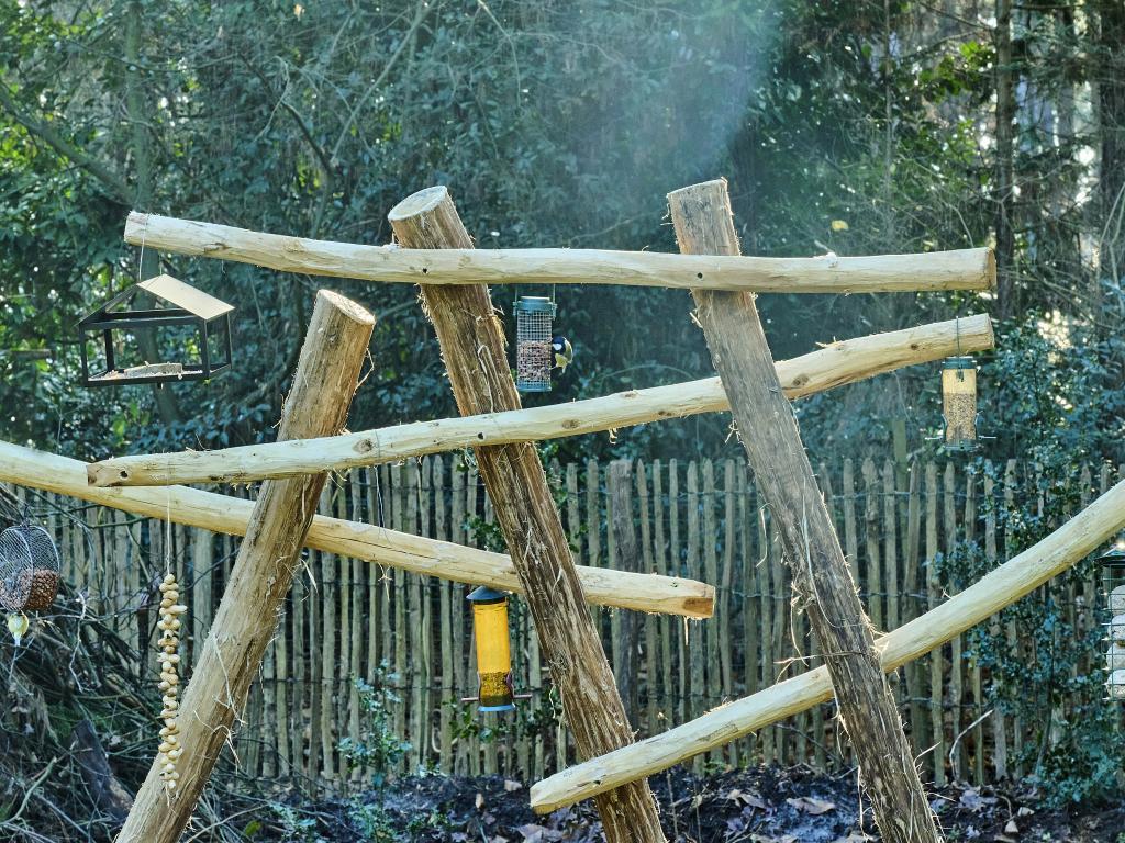 Lierelodge : maison au cœur de la réserve De Liereman, Oud-Turnhout - Photo 51