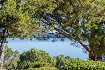 Villa T4 avec ponton privé à Porto-Vecchio : photo 18