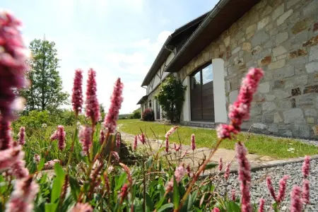 Maison 12 pers. avec sauna privé à Somme-Leuze : photo 6