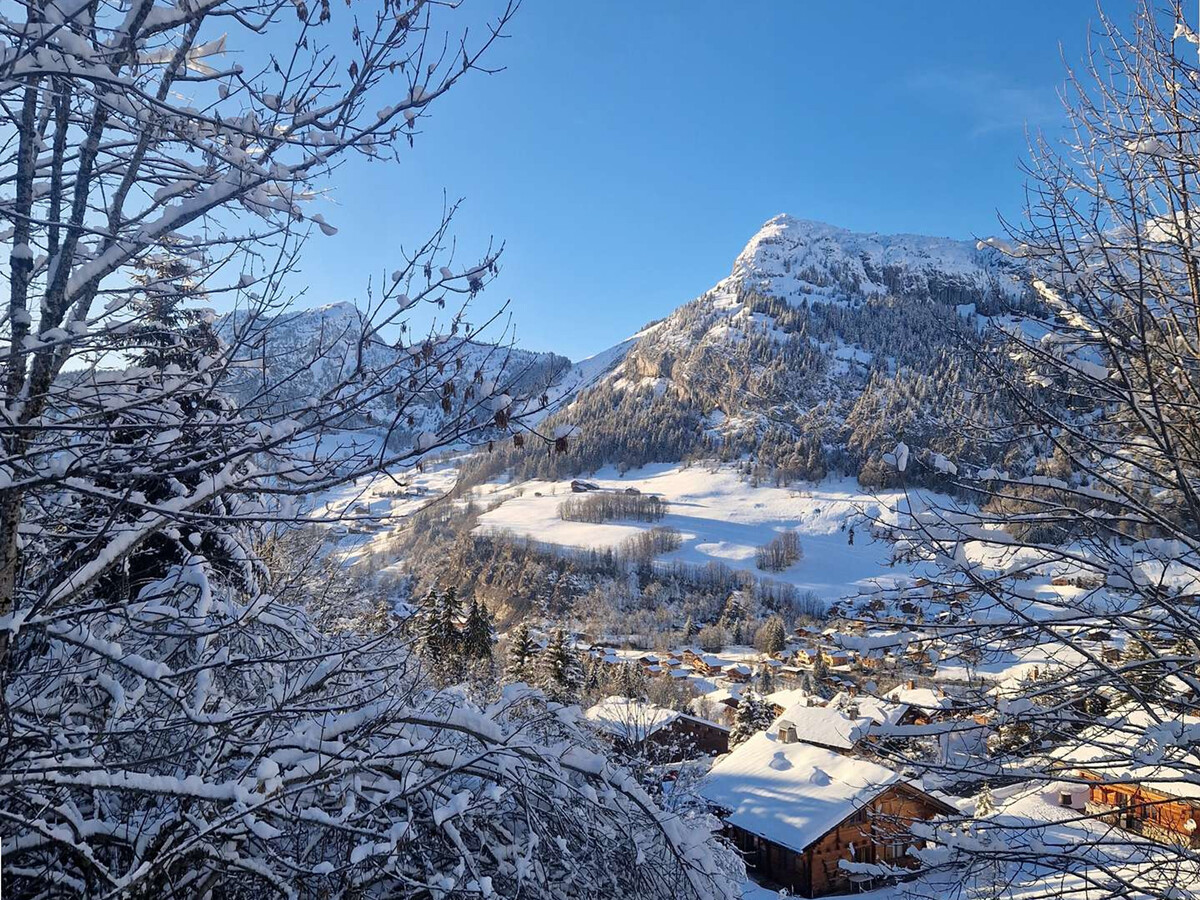 Chalet Améthystes, ski aux pieds au Chinaillon - Photo 25