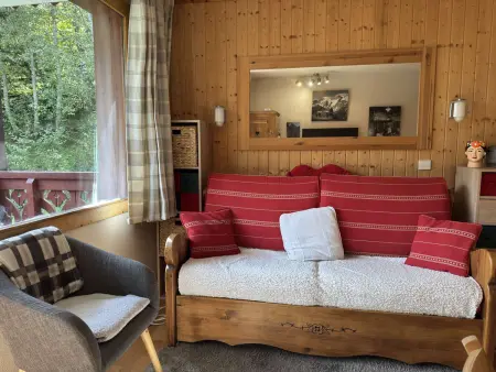 Location appartement à Les Avanchers Valmorel, Joli deux pièces, ski aux pieds, animaux admis
