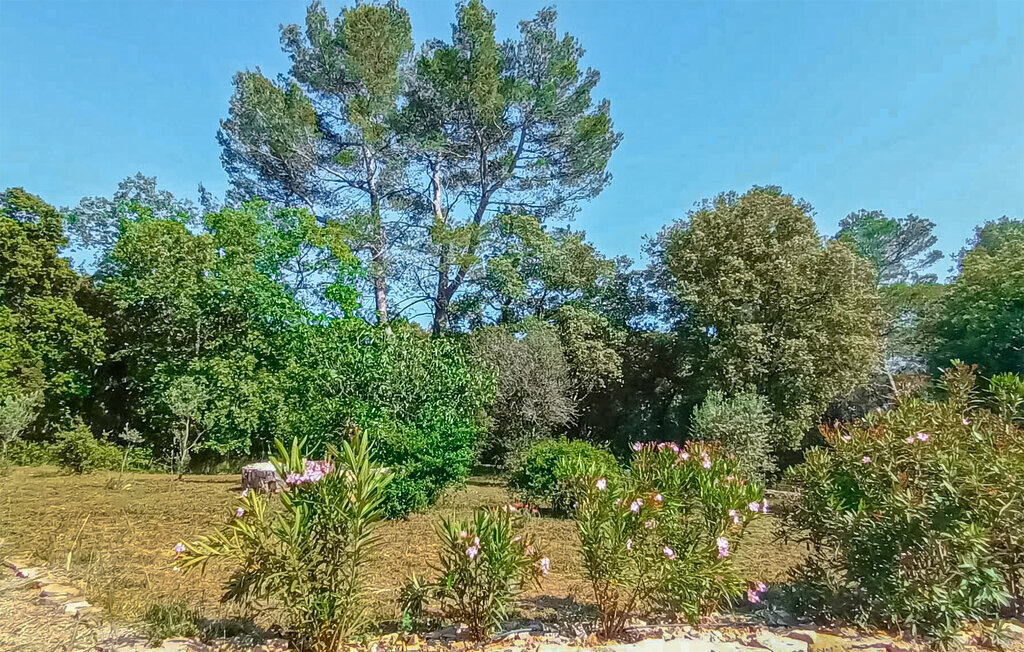 Maison provençale avec piscine à Besse-sur-Issole - Photo 13