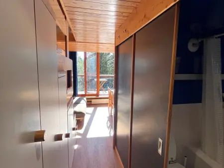 Duplex 33m² skis aux pieds pour 6, balcon sud-est : photo 11