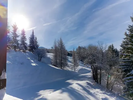 Duplex 33m² skis aux pieds pour 6, balcon sud-est : photo 14