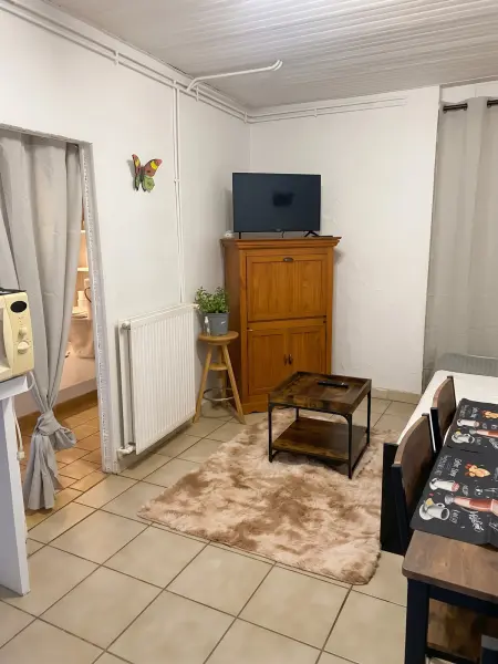 Appartement confortable à Aigues-Mortes – 30 m², Appartement 3 personnes à Aigues Mortes : photo 10