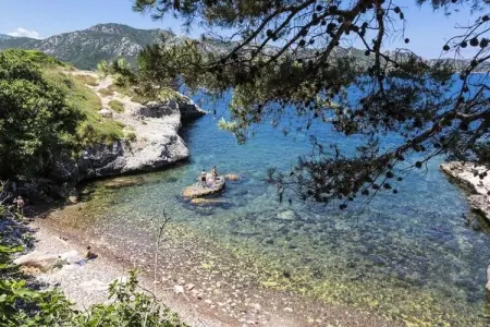 Location appartement à 