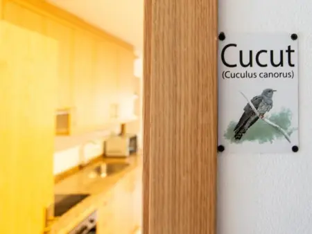 Location appartement à Montardit de Dalt, Appartement rénové à Montardit de Baix, animaux admis