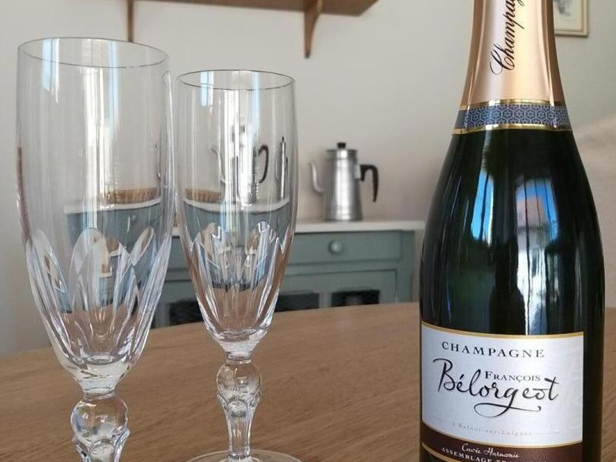 Gîte pour 2 en Champagne avec terrasse et vignoble - Photo 16