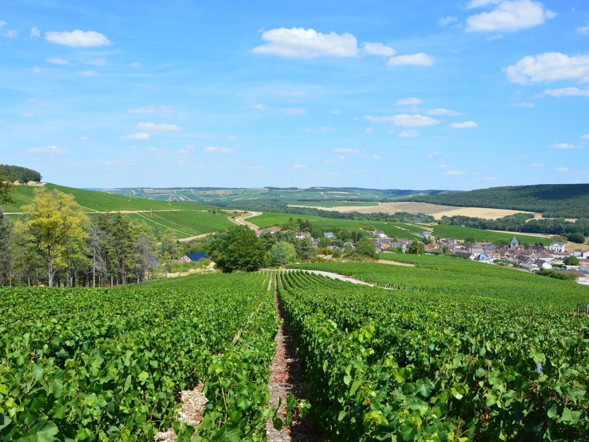 Gîte pour 2 en Champagne avec terrasse et vignoble - Photo 17